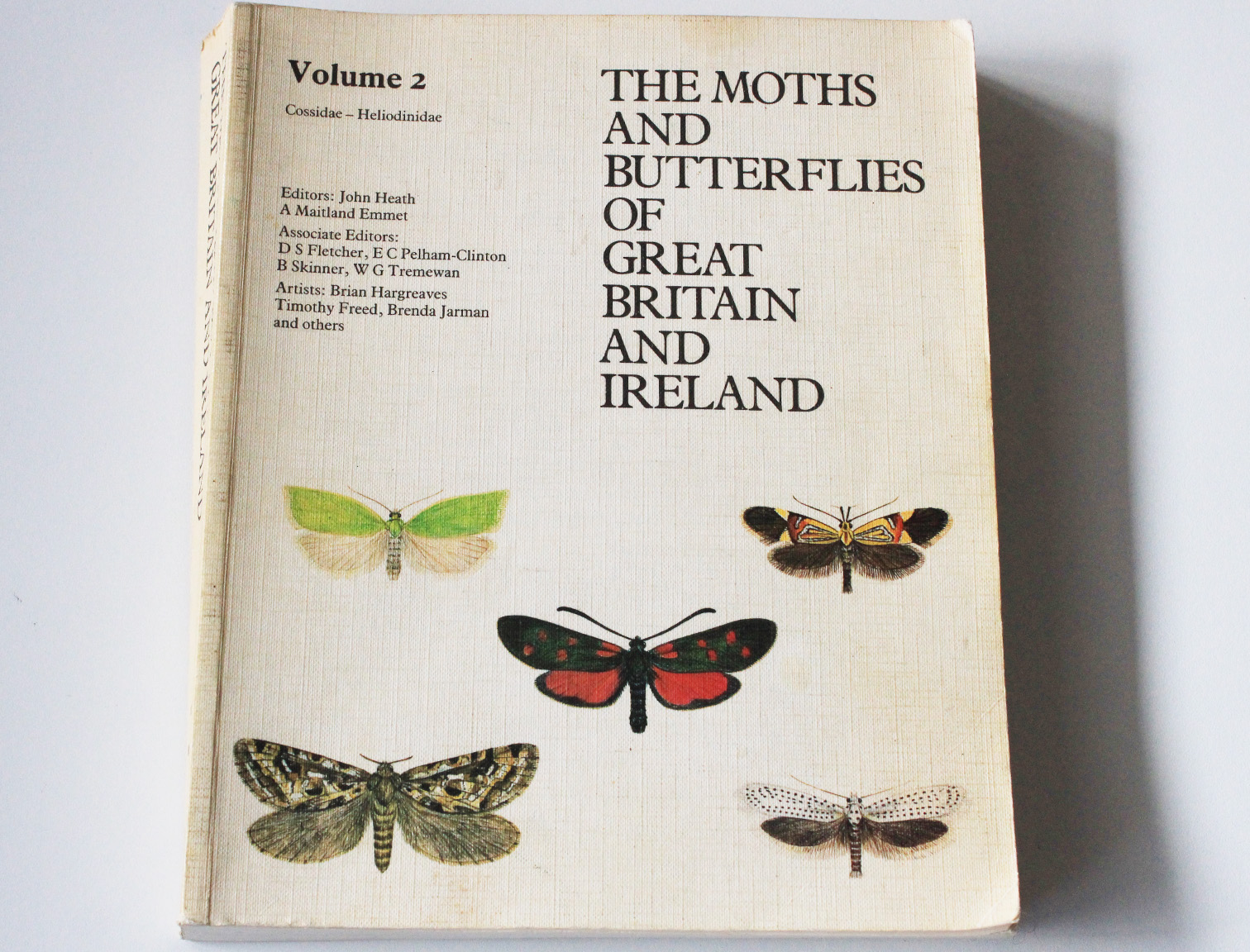 the moth and butterflies of GBand I part2